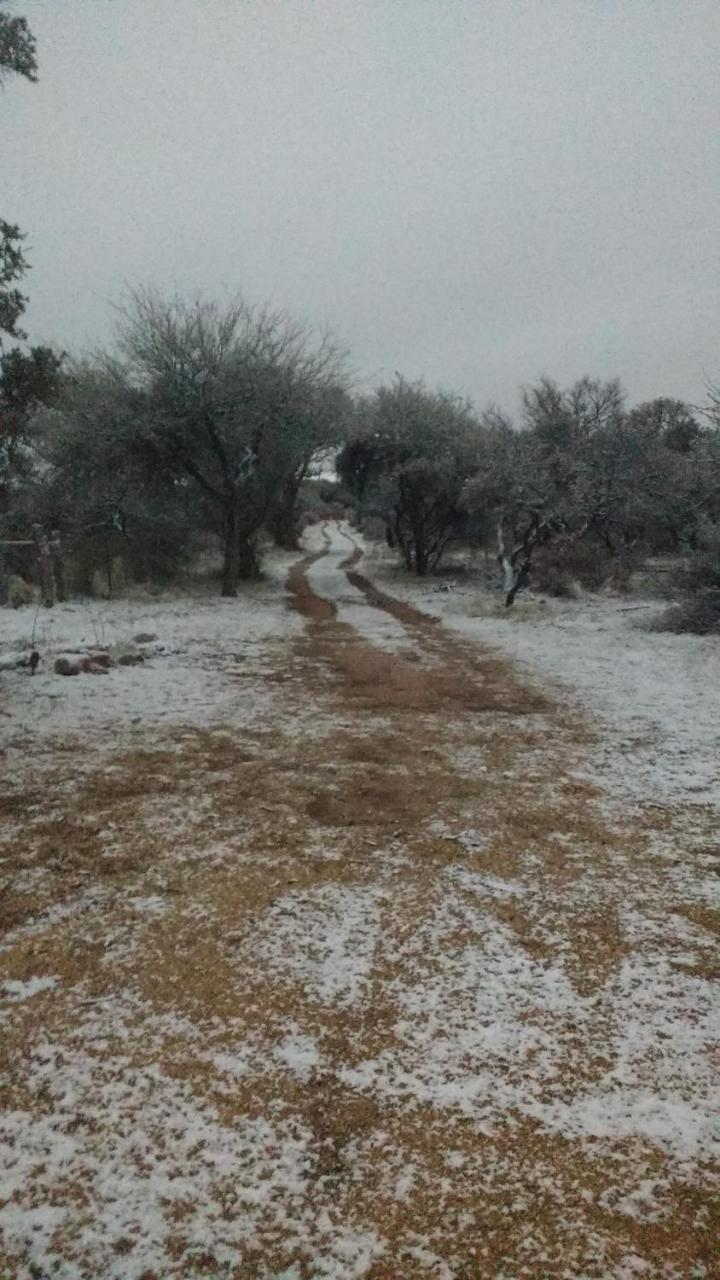 הוילה קורטדראס Cabana Los Piquillines מראה חיצוני תמונה